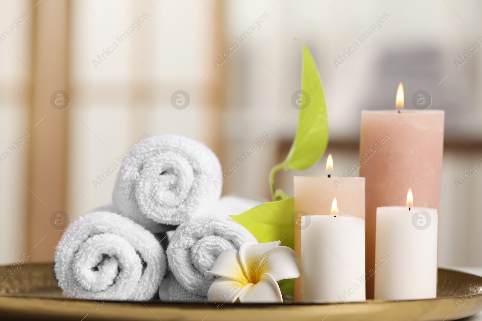 Photo of Spa composition. Burning candles, plumeria flower, green leaves and towels on tray