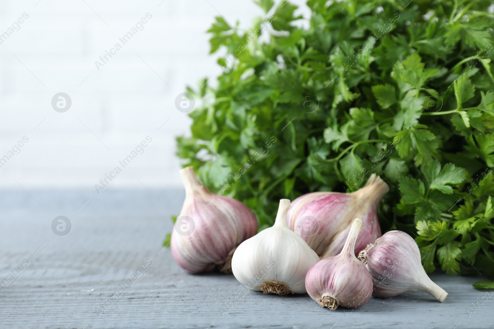 Photo of Fresh raw garlic and parsley on grey wooden table, space for text
