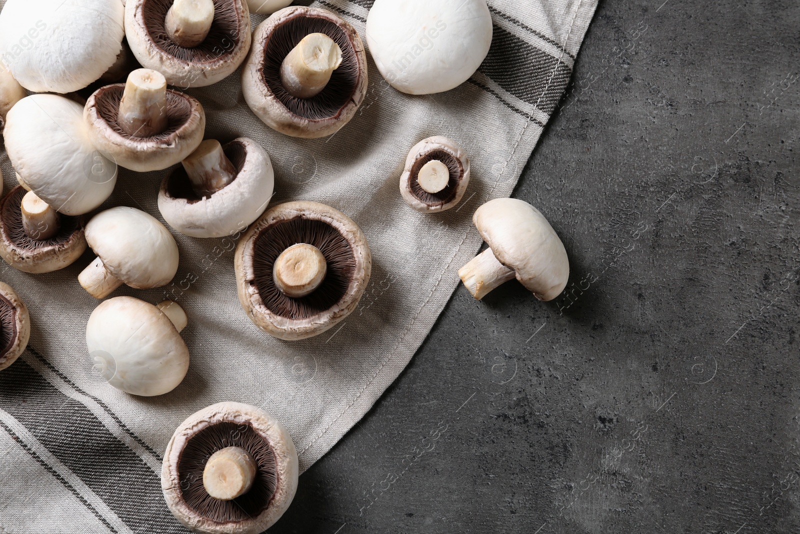 Photo of Fresh champignon mushrooms and napkin on grey background, top view with space for text