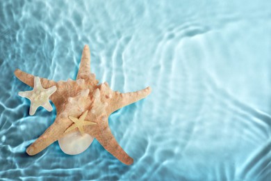 Image of Starfishes washed by sea water, space for text