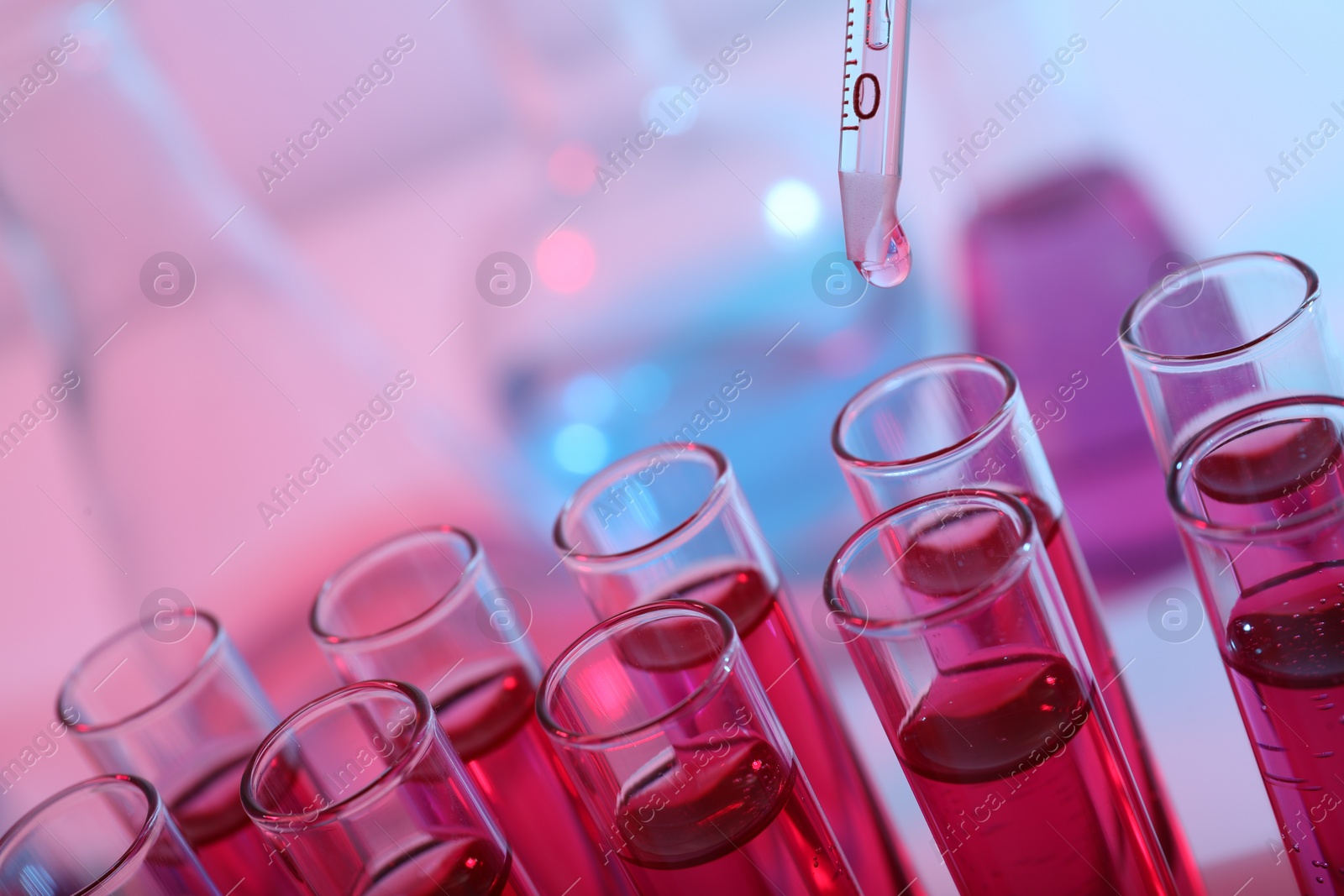 Photo of Dripping reagent into test tube with red liquid, closeup. Laboratory analysis