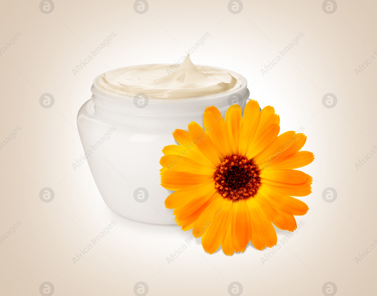 Image of Body cream with calendula extract on light background. Natural based cosmetic product