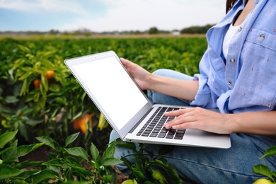 Photo of Woman using laptop with blank screen in field, closeup. Agriculture technology