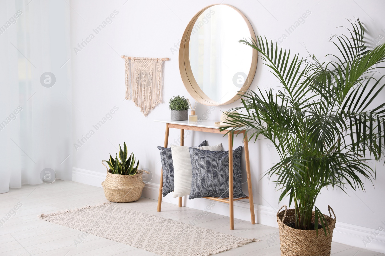 Photo of Round mirror and plants at home. Idea for interior design