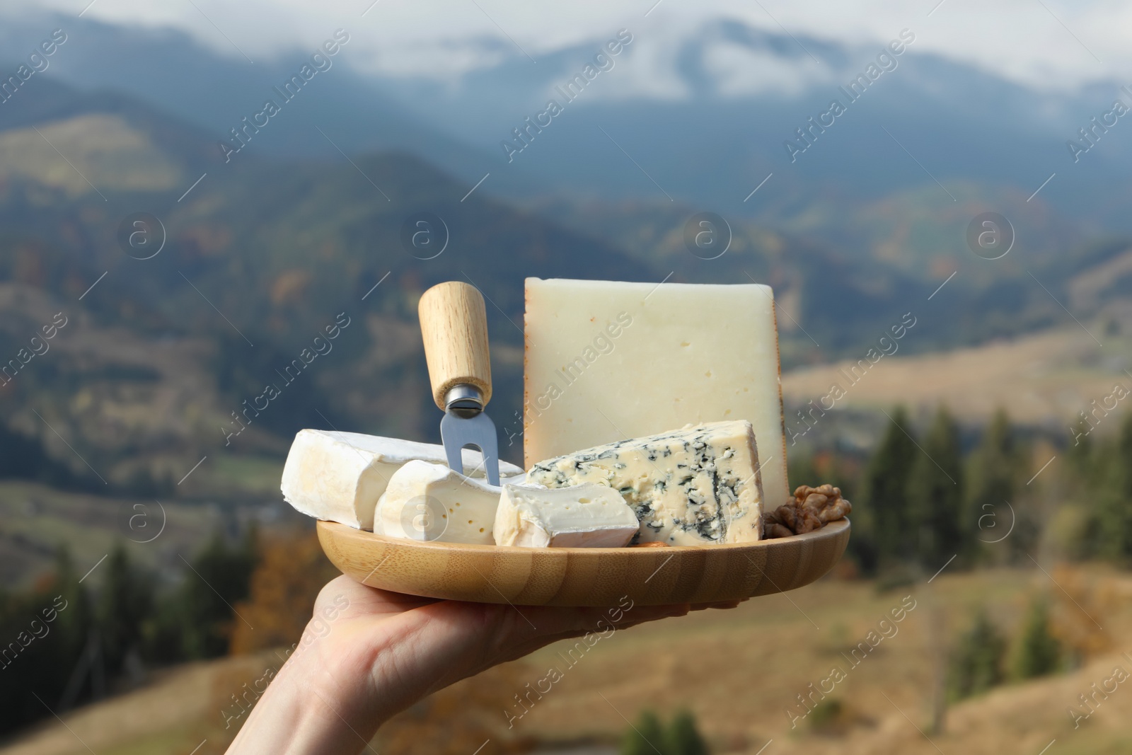 Photo of Woman holding wooden plate with different types of delicious cheeses against mountain landscape, closeup