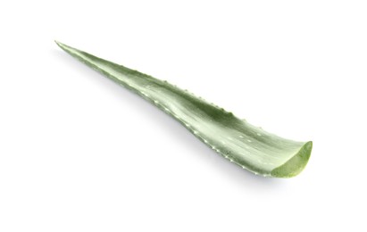 Green aloe vera leaf isolated on white