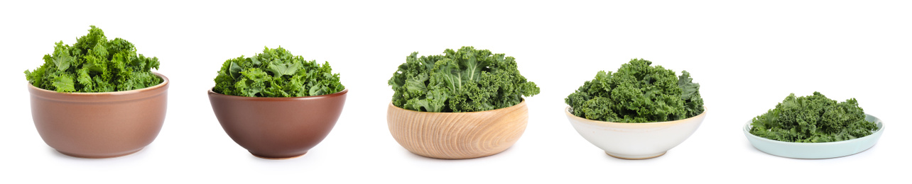 Image of Set of fresh green kale leaves on white background. Banner design 