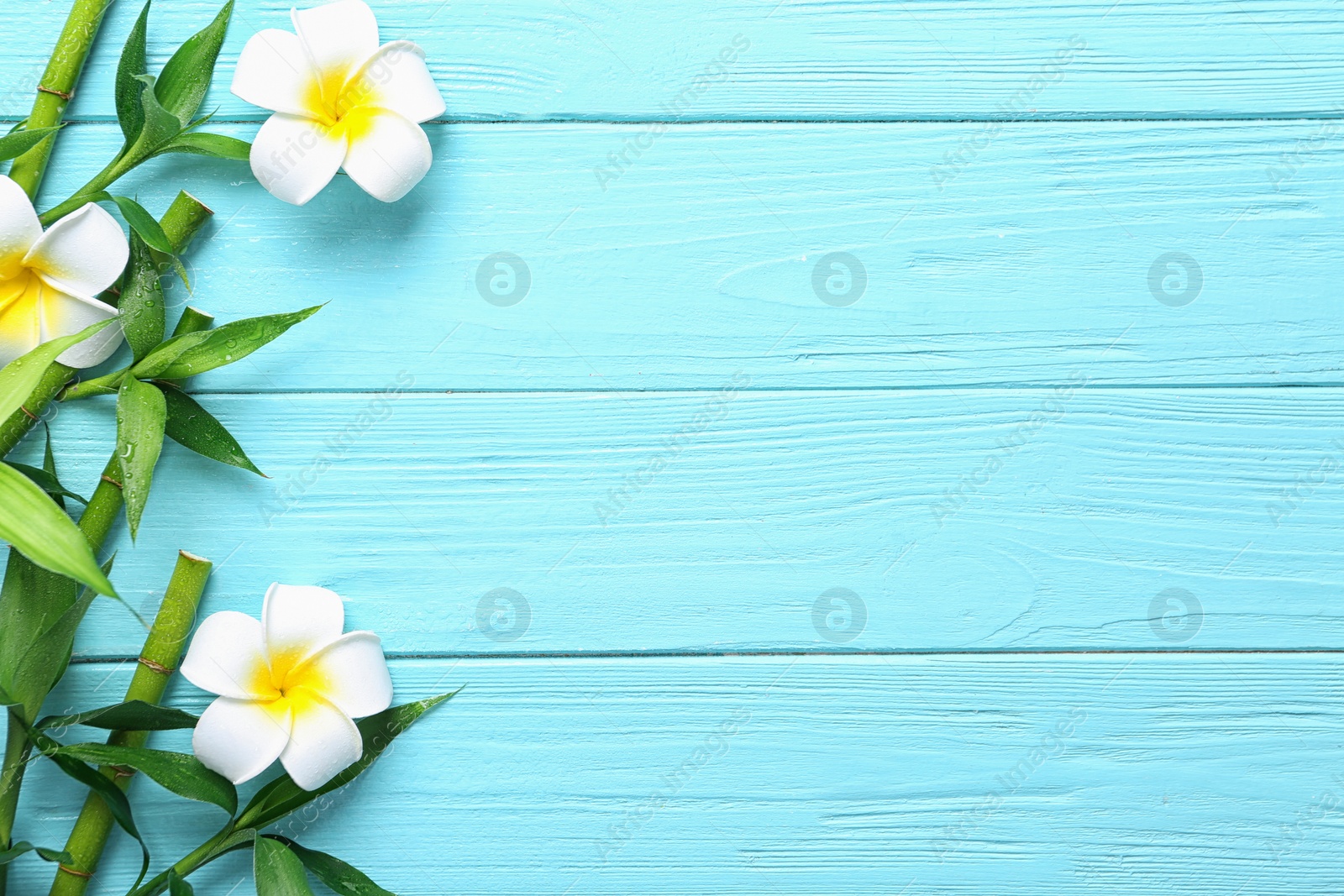 Photo of Flat lay composition with green bamboo stems on blue wooden background. Space for text