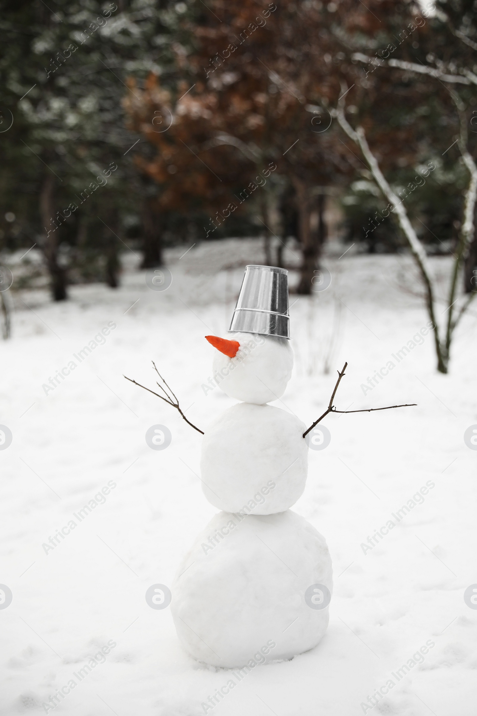 Photo of Cute snowman with metal bucket and carrot nose outdoors on winter day