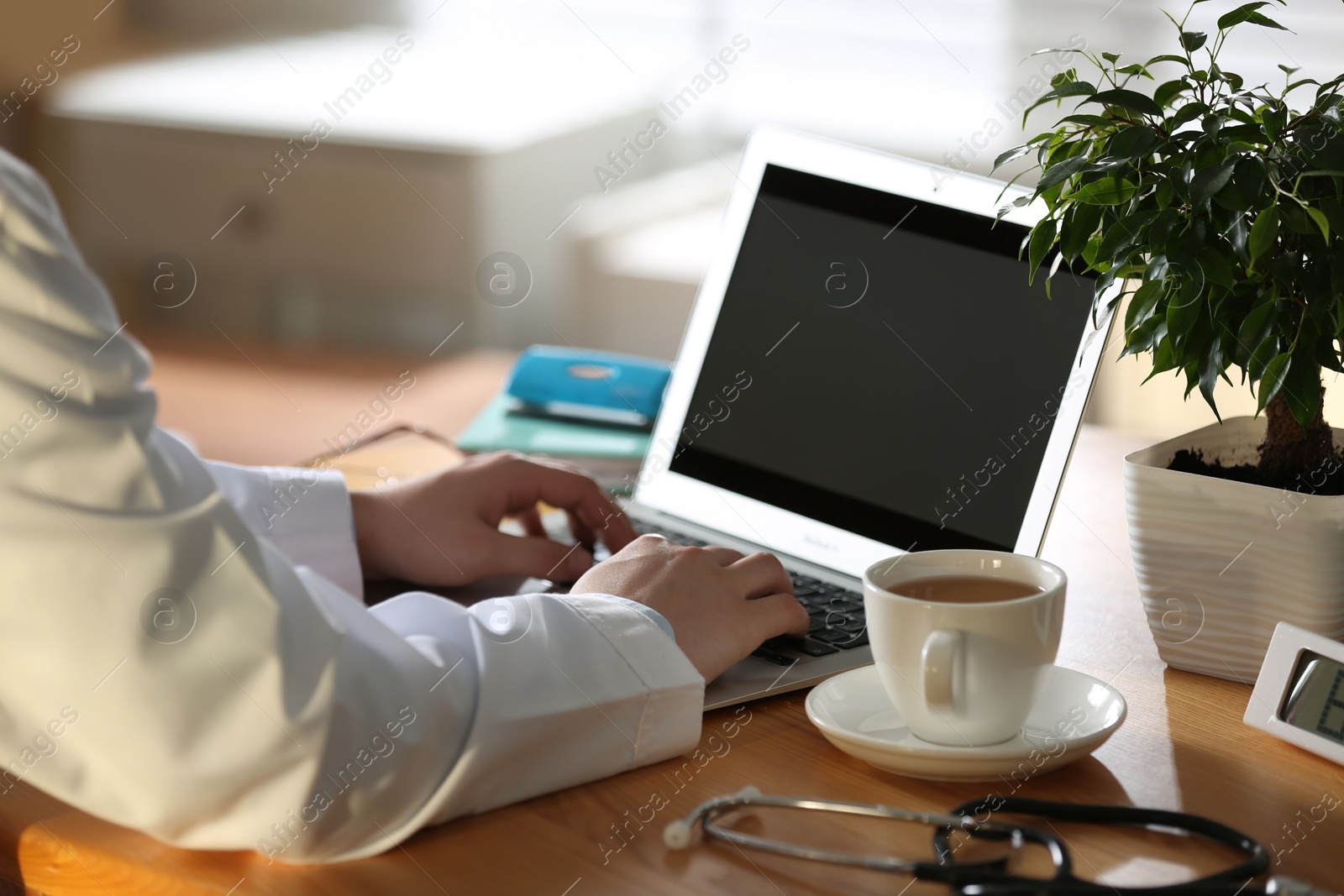 Photo of Professional doctor working on laptop in office, closeup