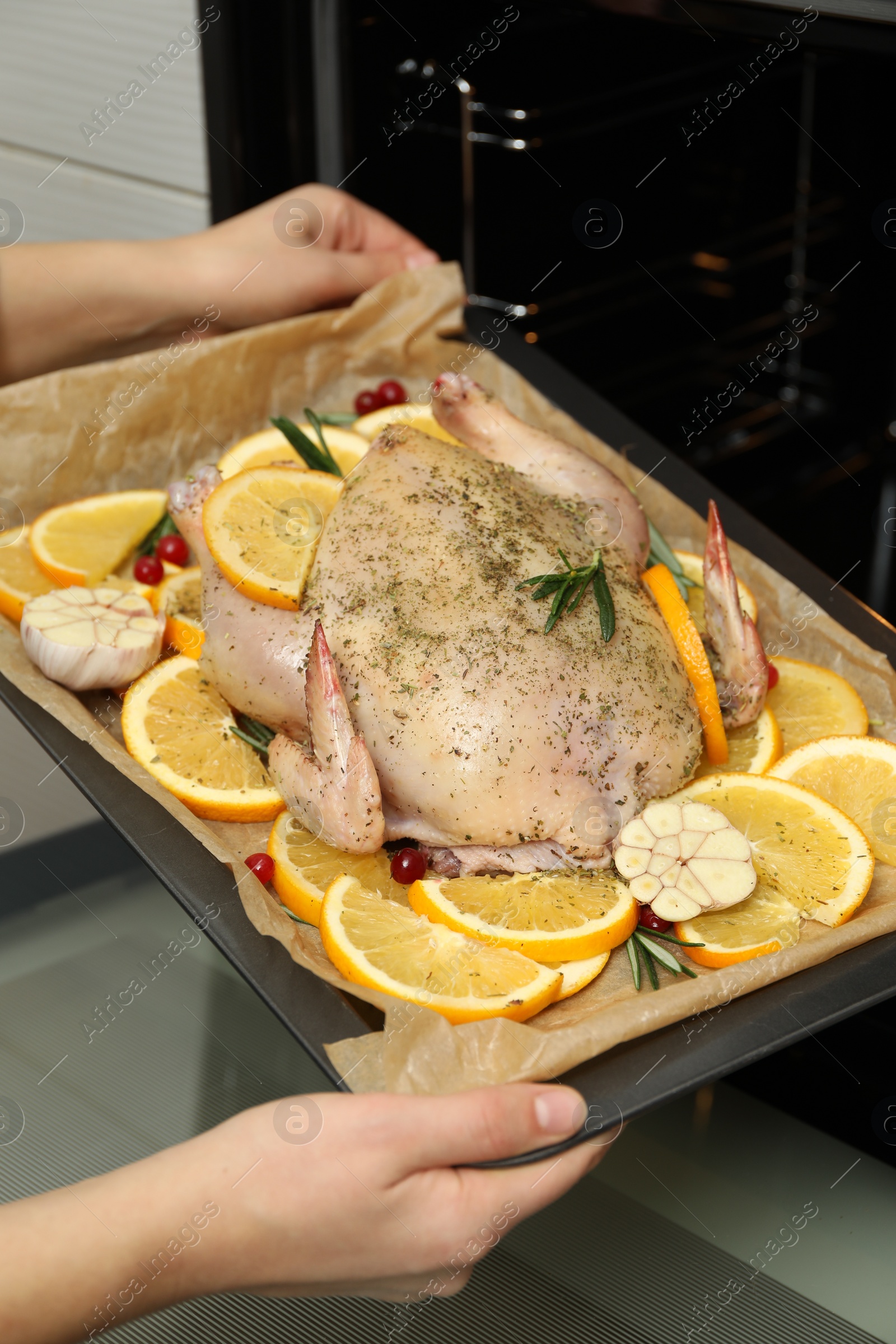 Photo of Woman putting chicken with orange slices into oven, closeup