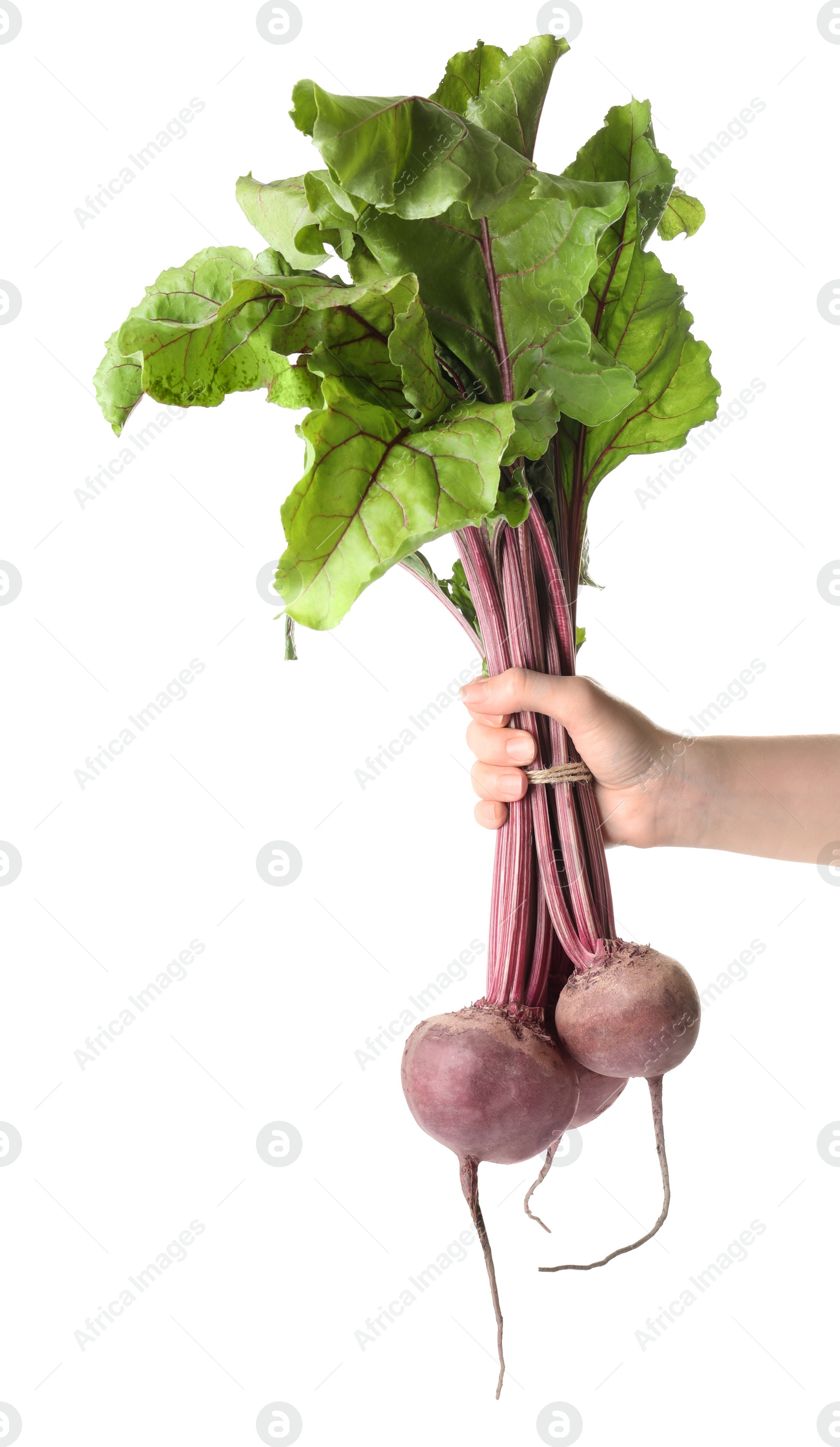 Photo of Woman holding raw ripe beets on white background, closeup