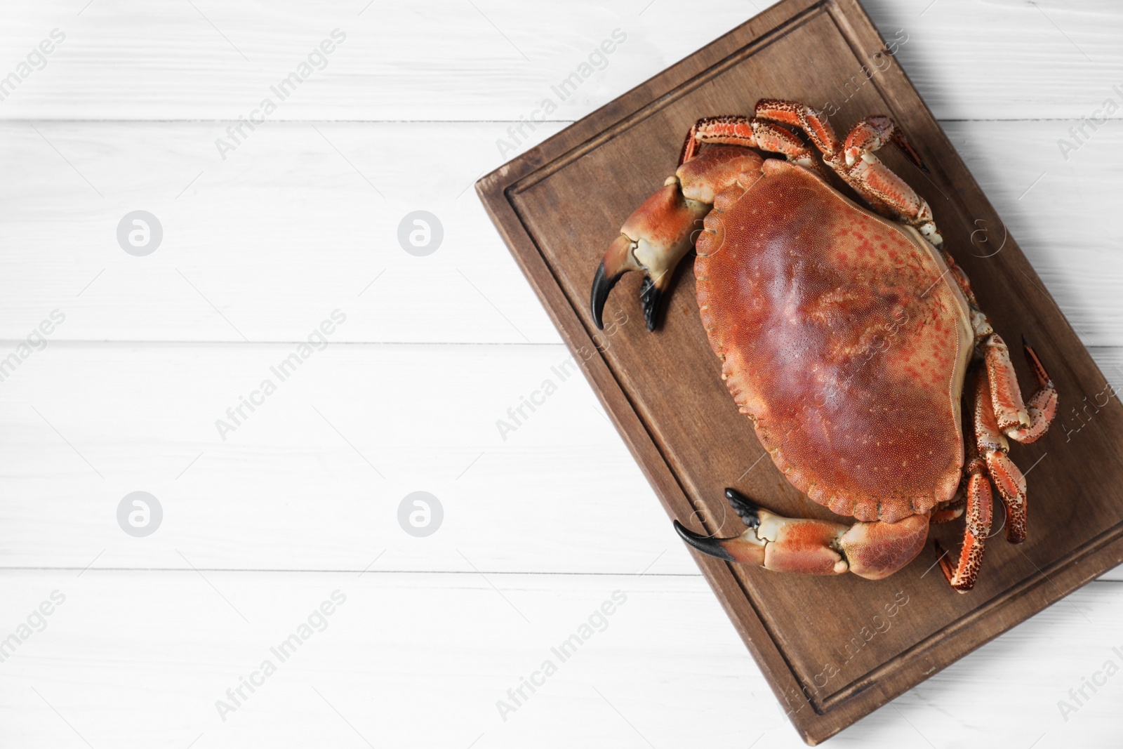 Photo of Delicious boiled crab on white wooden table, top view. Space for text