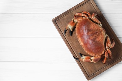 Delicious boiled crab on white wooden table, top view. Space for text