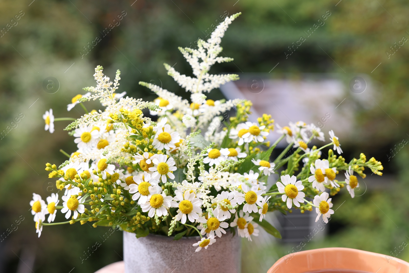 Photo of Fresh flowers outdoors on sunny day, closeup