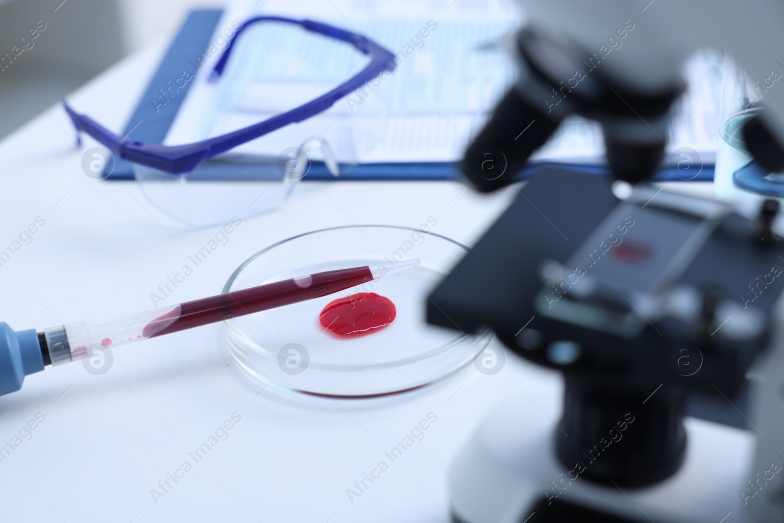 Photo of Dripping blood sample onto Petri dish on white table in laboratory, closeup