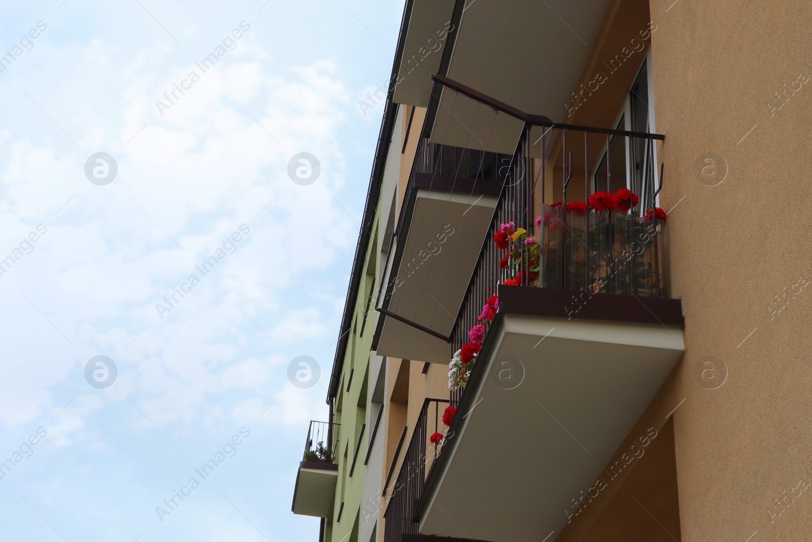 Photo of Balcony decorated with beautiful colorful flowers, low angle view. Space for text