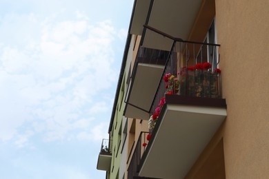 Photo of Balcony decorated with beautiful colorful flowers, low angle view. Space for text