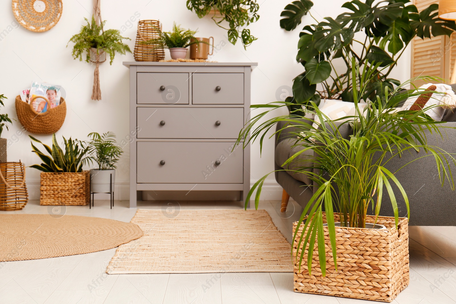 Photo of Living room interior with stylish furniture and green plants