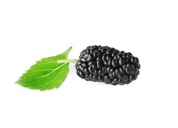 Photo of One black mulberry with leaf on white background