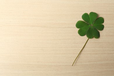 Photo of Green four leaf clover on wooden table, top view. Space for text