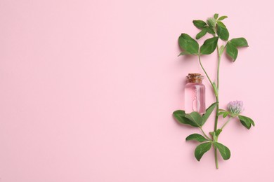 Photo of Beautiful clover flowers and bottle of essential oil on pink background, flat lay. Space for text