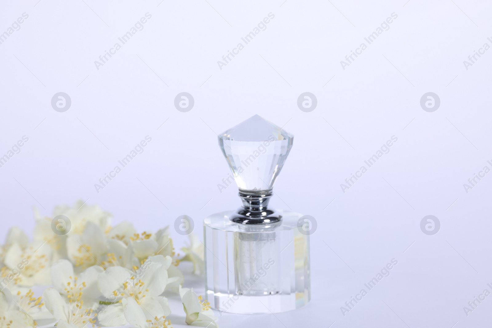 Photo of Aromatic perfume in bottle and beautiful jasmine flowers on white background, space for text