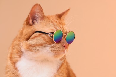 Portrait of cute ginger cat in stylish sunglasses on beige background