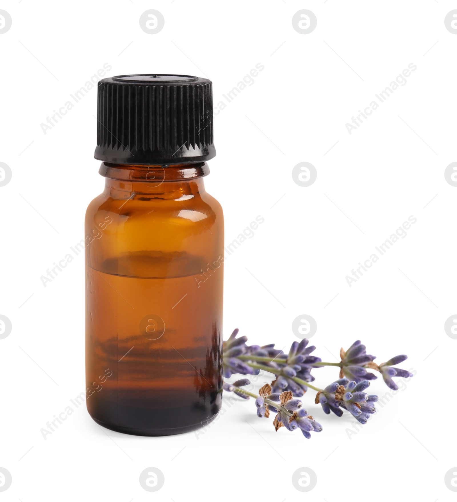 Photo of Bottle of essential oil and lavender flowers on white background