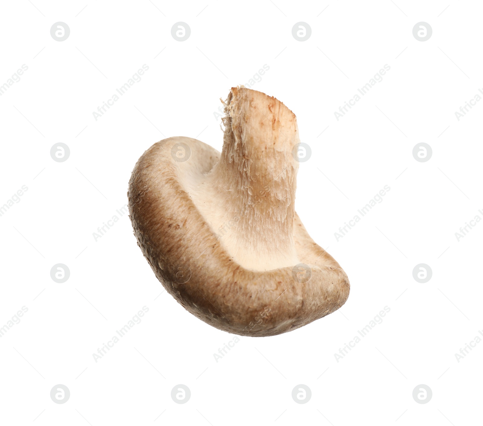 Photo of Fresh wild shiitake mushroom isolated on white