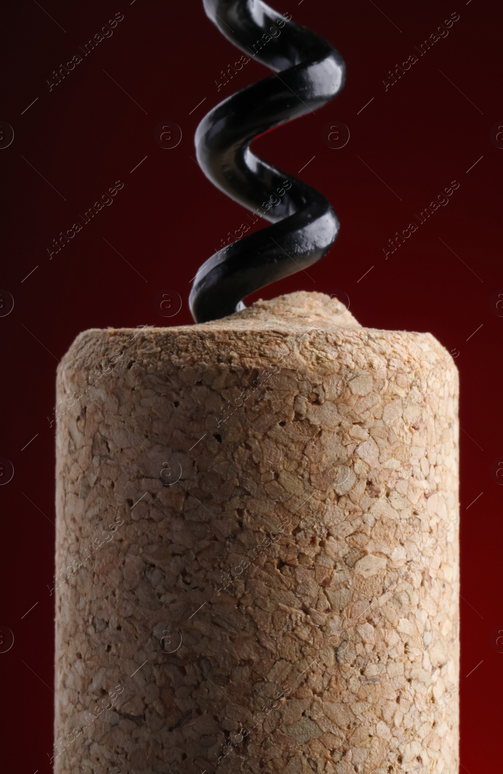 Photo of Corkscrew with cork against dark red background, closeup