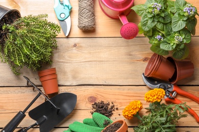 Flat lay composition with gardening tools and plants on wooden background