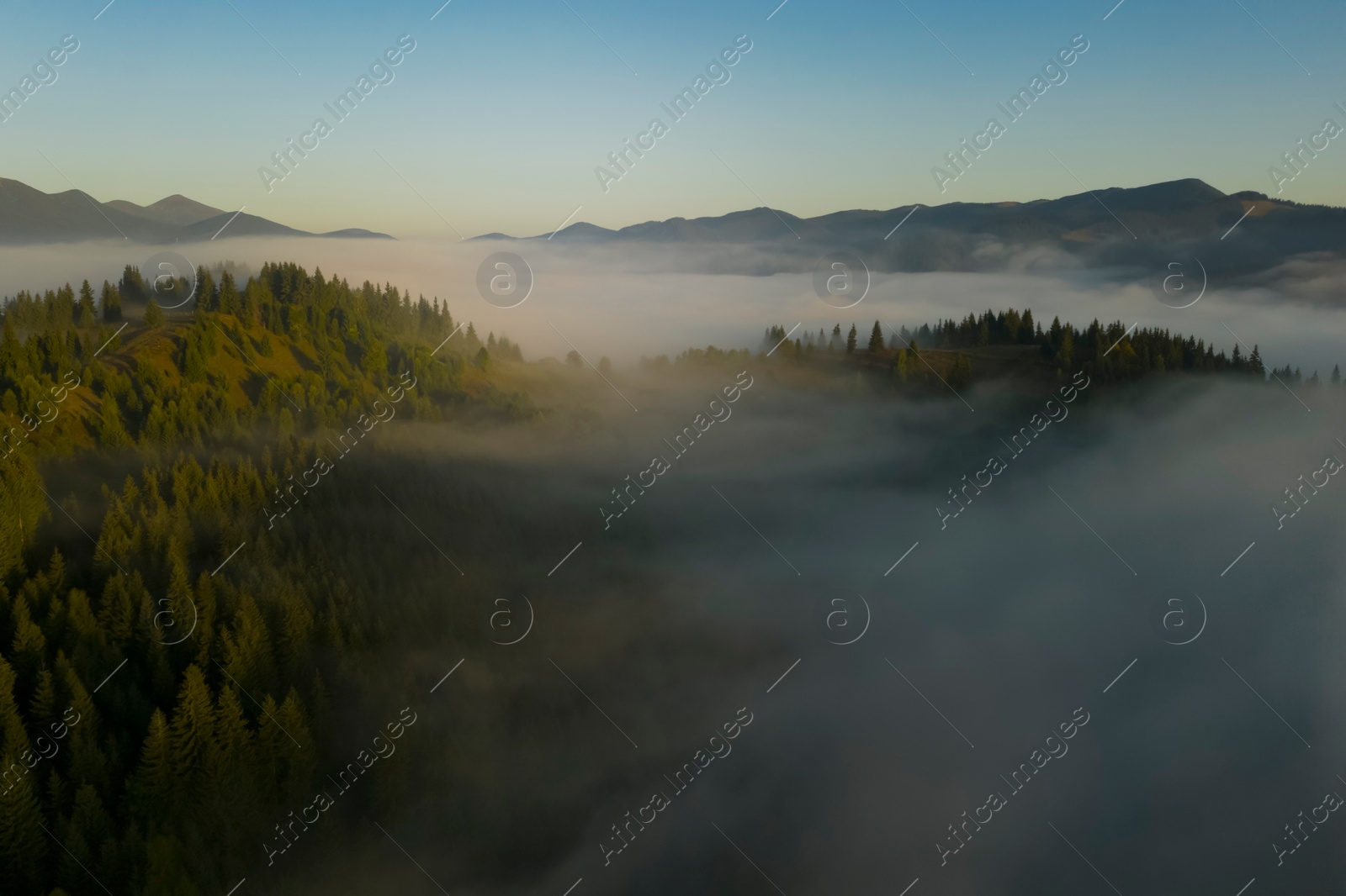 Image of Aerial view of beautiful landscape with misty forest in mountains