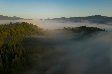 Aerial view of beautiful landscape with misty forest in mountains