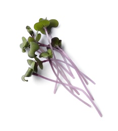 Heap of fresh organic microgreen on white background, top view