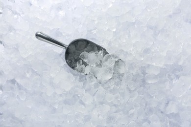 Photo of Metal scoop on crushed ice, top view