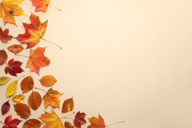 Beautiful autumn leaves on beige background, flat lay. Space for text