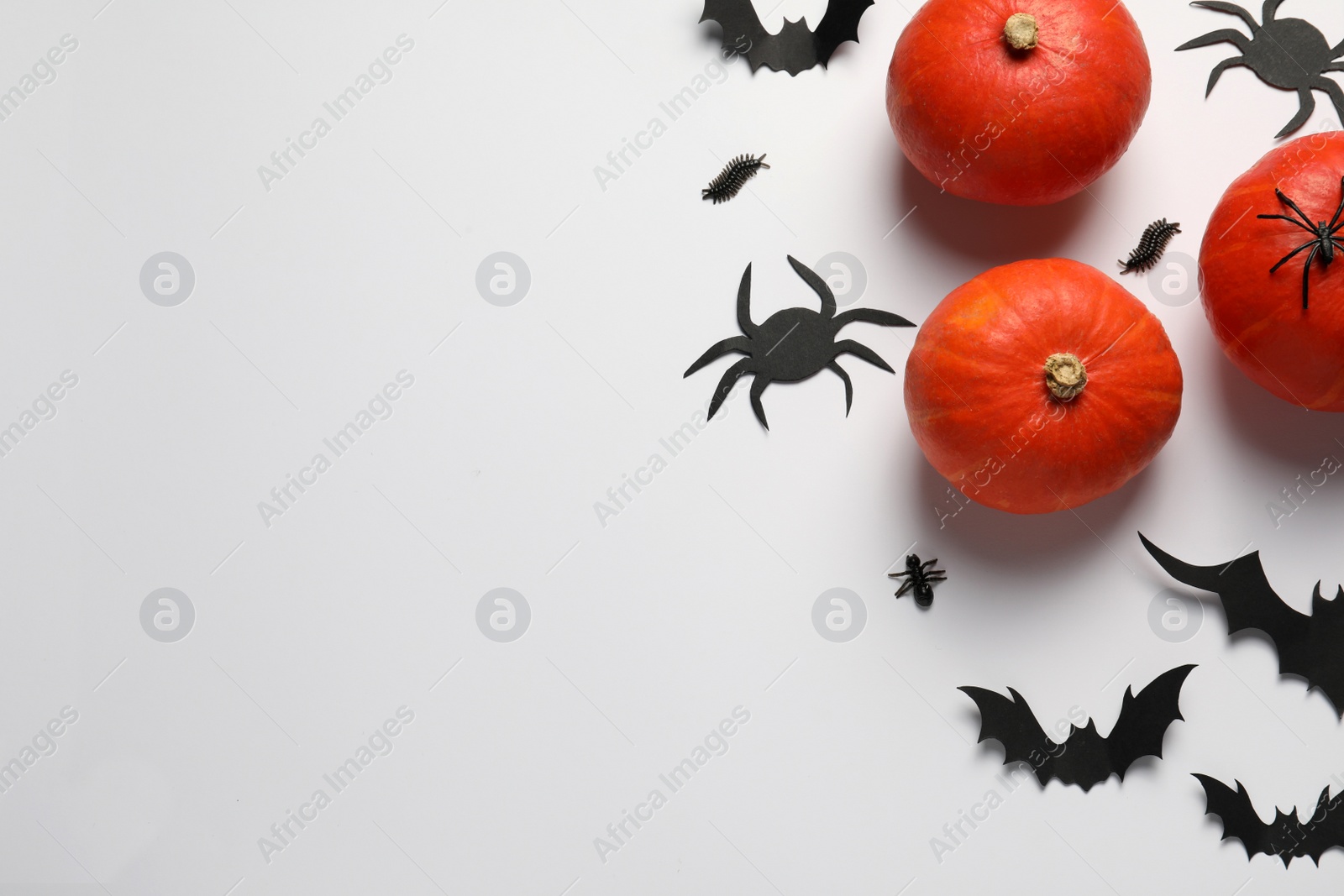 Photo of Flat lay composition with pumpkins, paper bats and spiders on white background, space for text. Halloween celebration