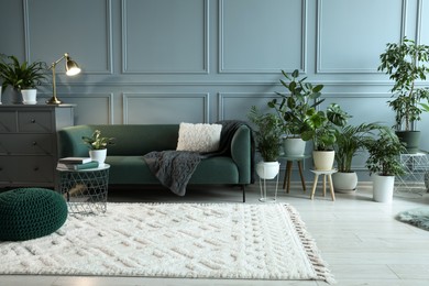 Photo of Many potted houseplants and stylish furniture near light blue wall in beautiful room