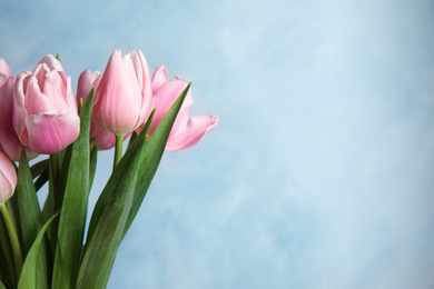 Photo of Beautiful pink spring tulips on light blue background. Space for text