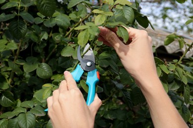 Photo of Woman pruning branch with spikes by secateurs in garden, closeup