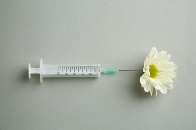 Medical syringe and beautiful chrysanthemum flower on grey background, top view