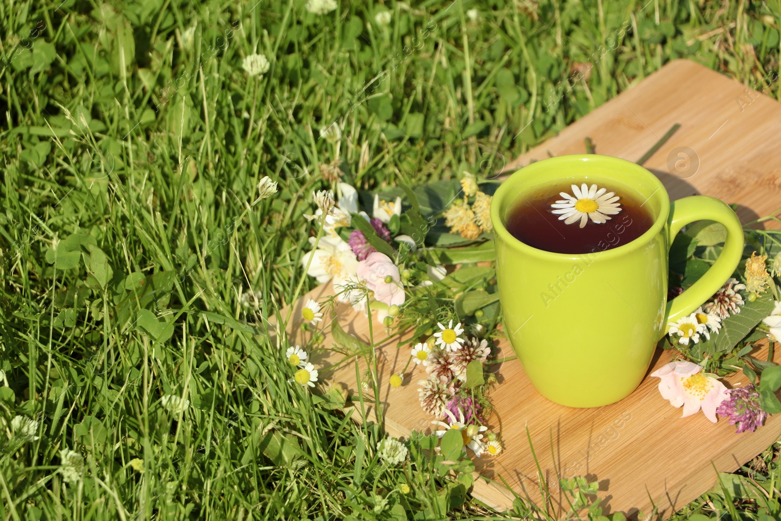 Photo of Green cup with tea, different wildflowers and herbs on wooden board in meadow. Space for text