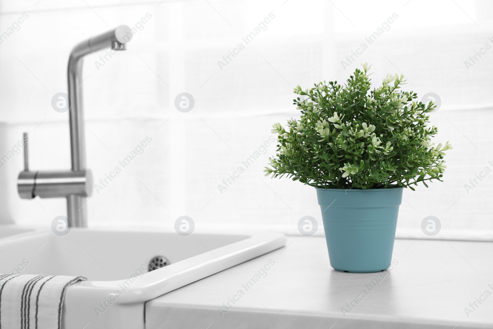 Photo of Beautiful potted artificial plant on countertop in kitchen, space for text. Home decor