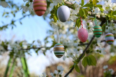 Beautifully painted Easter eggs hanging on blooming tree outdoors, closeup