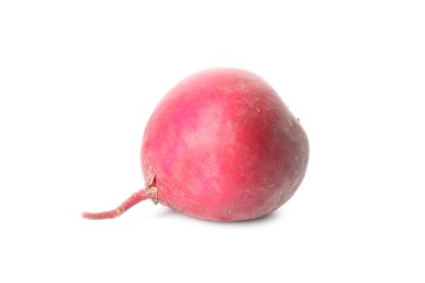 Whole fresh ripe turnip on white background