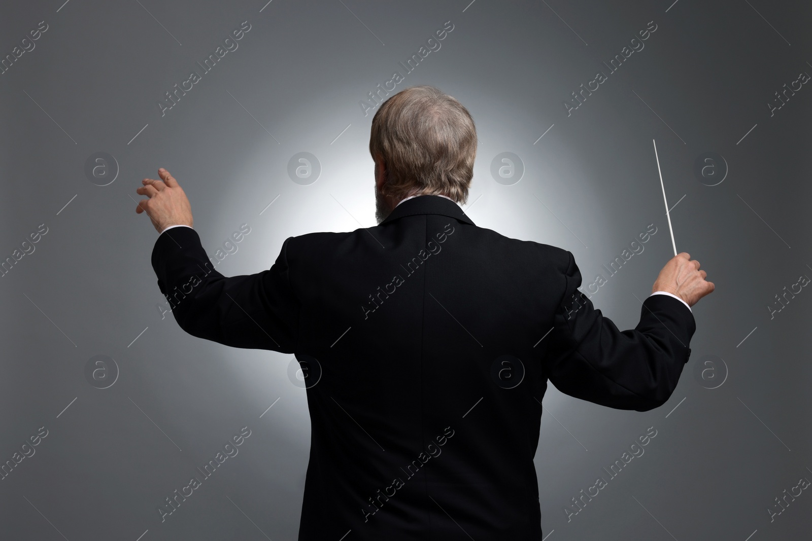 Photo of Professional conductor with baton on grey background, back view