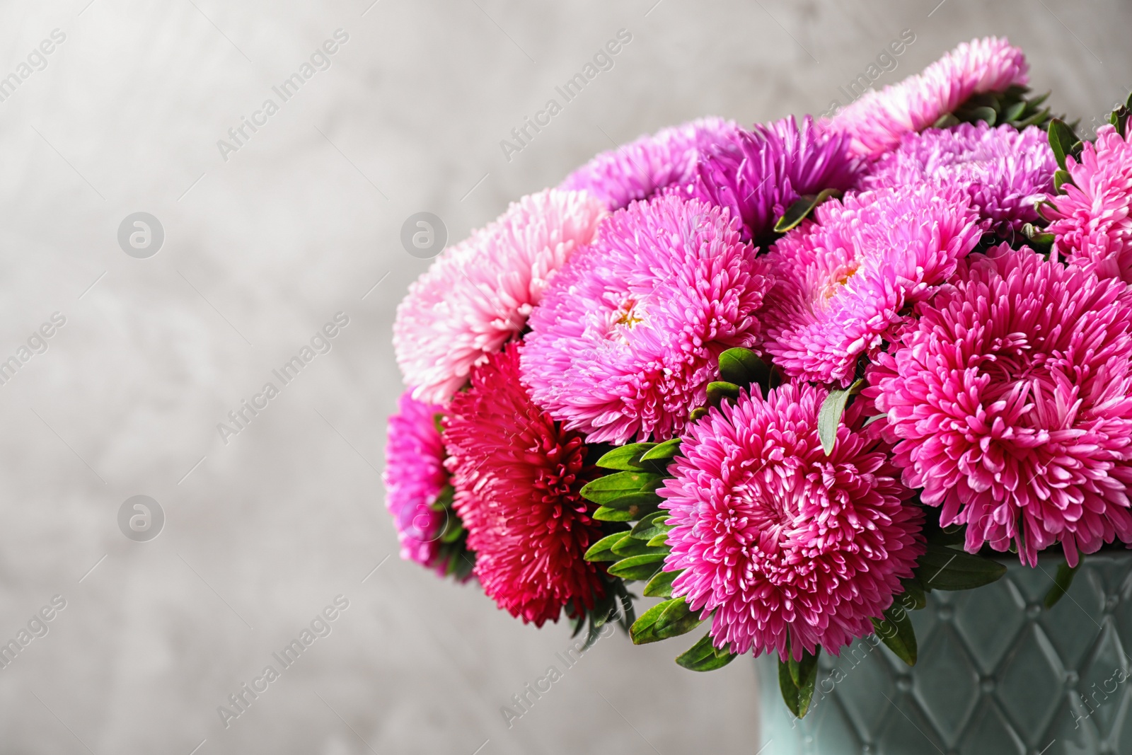 Photo of Vase with beautiful aster flowers on beige background, closeup. Space for text