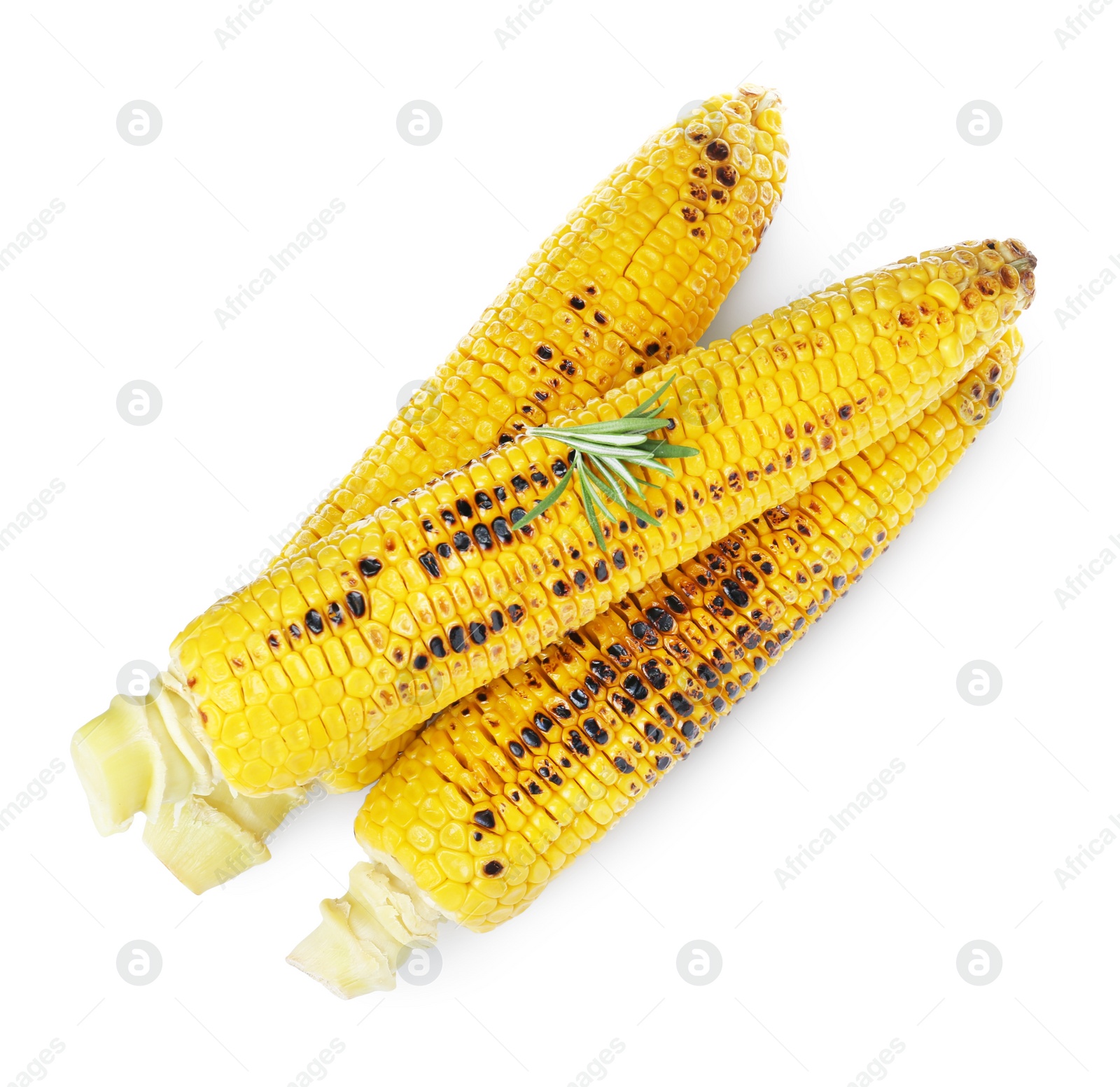 Photo of Tasty grilled corn on white background, top view