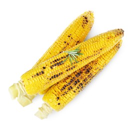 Photo of Tasty grilled corn on white background, top view